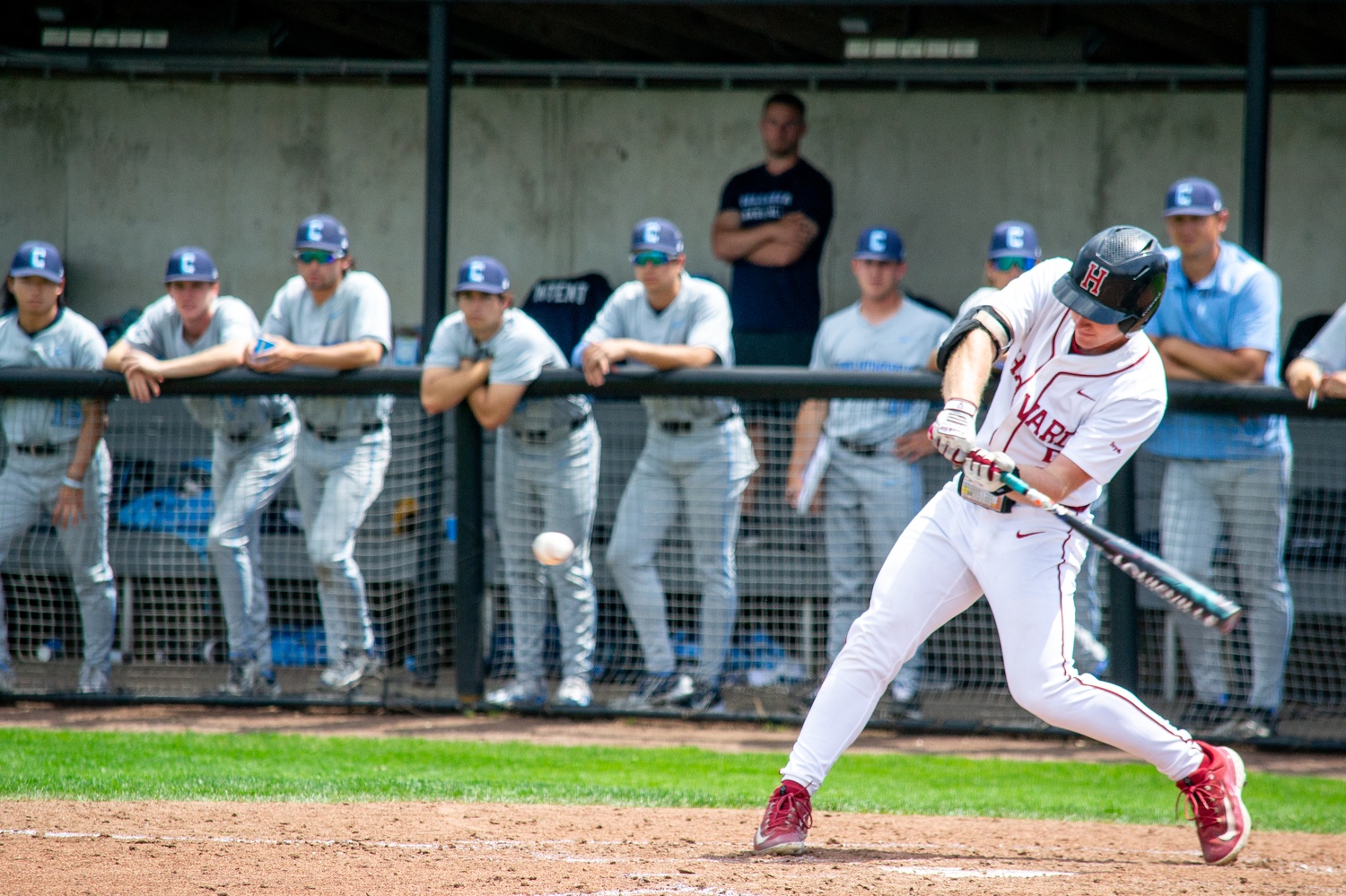 Ivy League Baseball Rankings 2025: Who’s Dominating This Season?