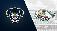 Who Are the Gary SouthShore RailCats Affiliated With? Explained