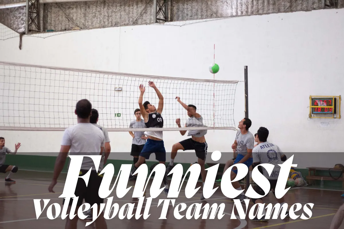 Funniest Baseball Team Names Ever: You Won’t Stop Laughing