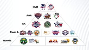 Minor League Baseball Innings Explained: Same as MLB or Different?