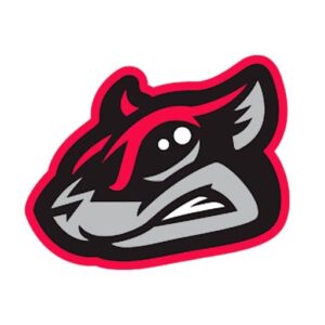 Richmond Flying Squirrels Hat Review: One of the Coolest Logos?