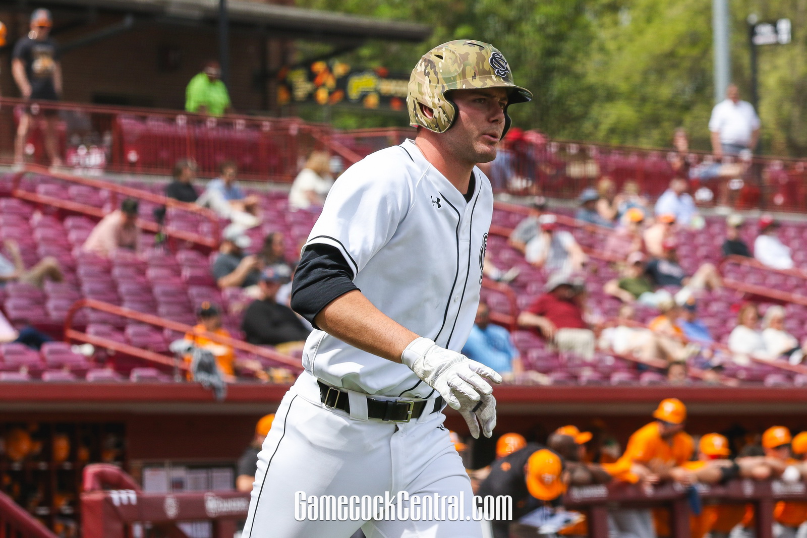 Ole Miss Rebels baseball vs South Carolina Gamecocks baseball Preview: Pitching Duel to Watch