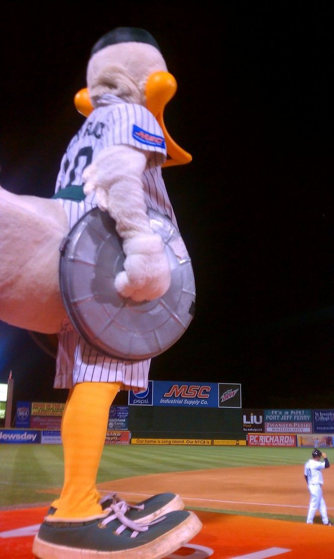 Are the Long Island Ducks an MLB Affiliate? Full Explanation