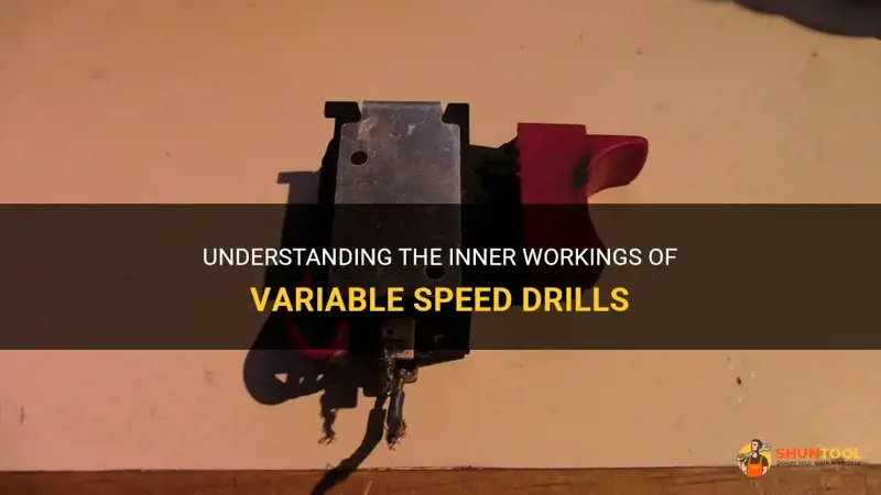 How to Gain Bat Speed Fast: Proven Drills That Actually Work