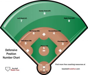 Baseball Position Numbers Explained: Learn the Game Like a Pro