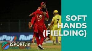 How To Field a Short Hop (Soft Hands vs. Firm Hands)