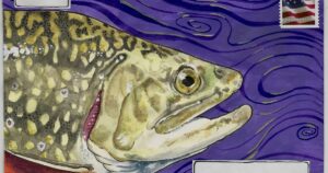 Unboxing a Trout 1/1 Sketch Card (It’s Horrifying)