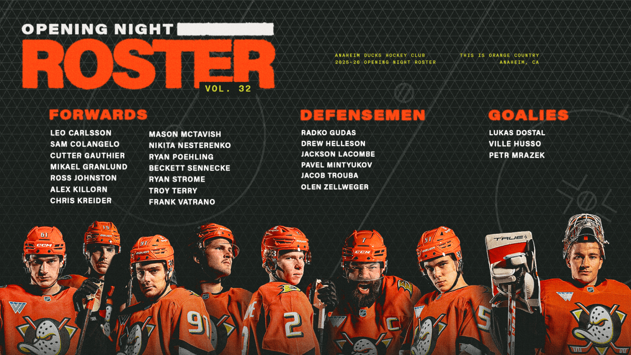 Long Island Ducks Roster 2025: Top Players & Season Outlook