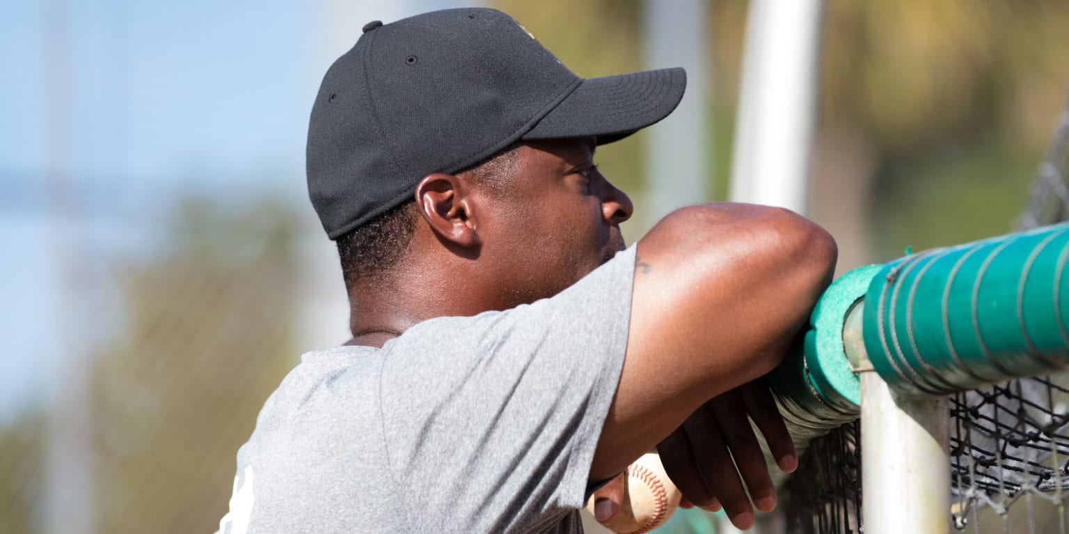 Staten Island FerryHawks: Are They the Next MLB Affiliate?